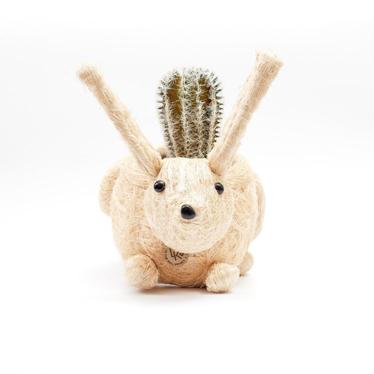 Bunny Planter - Handmade