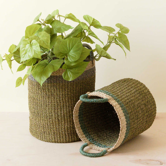 Olive Baskets with Handle, set of 2 - Natural Baskets