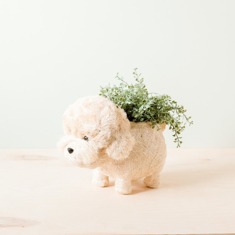 Poodle Planter - Coco Coir Pots