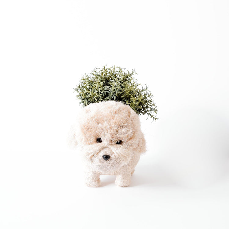 Poodle Planter - Coco Coir Pots