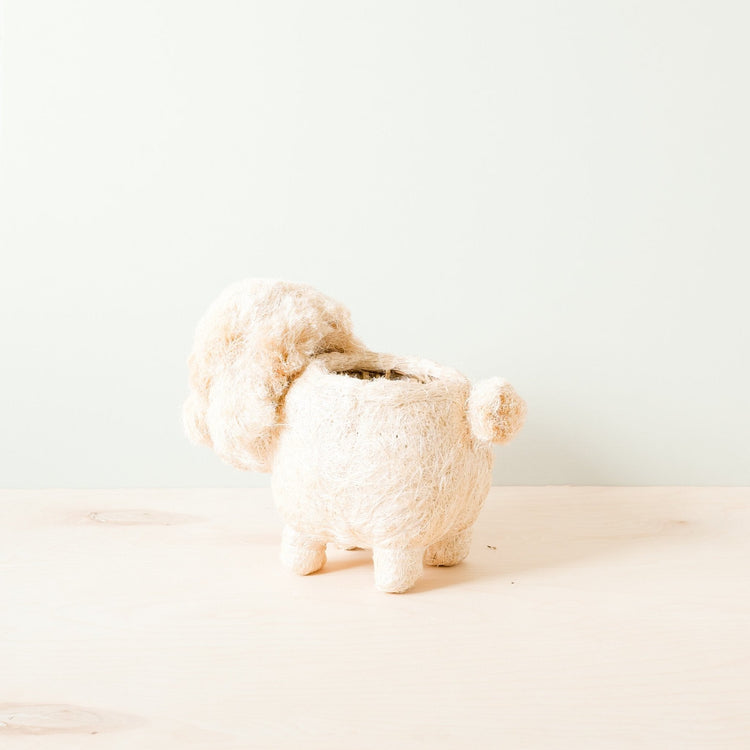 Poodle Planter - Coco Coir Pots