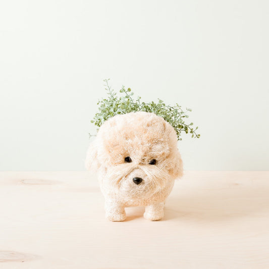 Poodle Planter - Coco Coir Pots