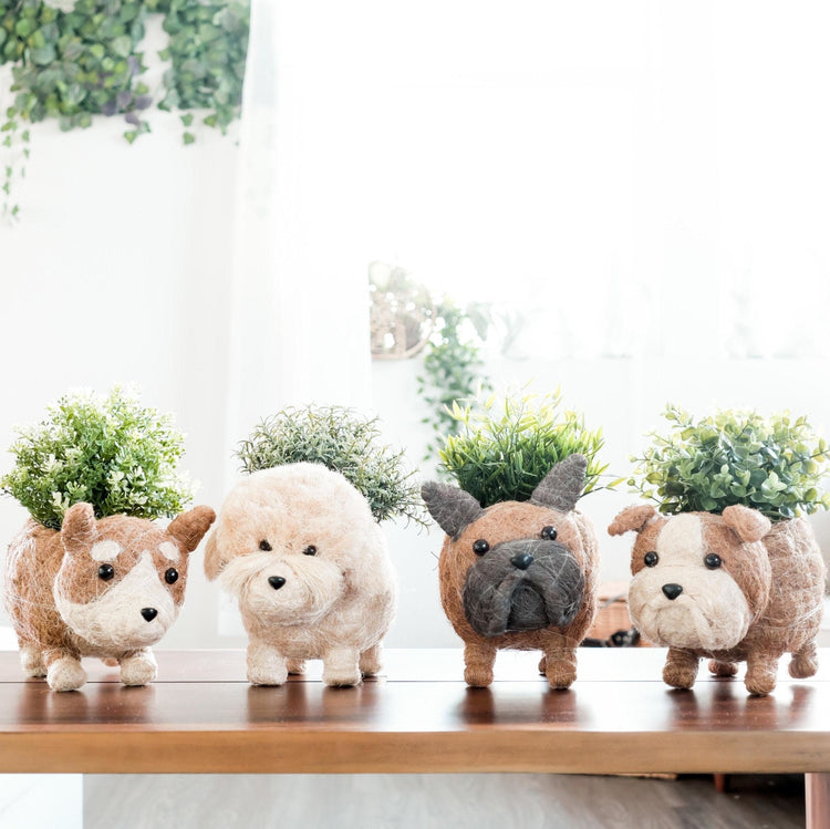 Poodle Planter - Coco Coir Pots