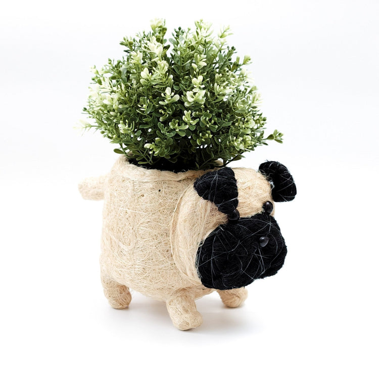 Pug Planter - Coco Coir Pots