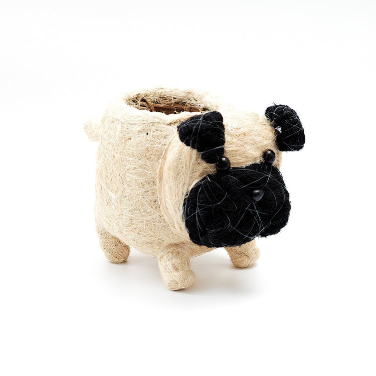 Pug Planter - Coco Coir Pots