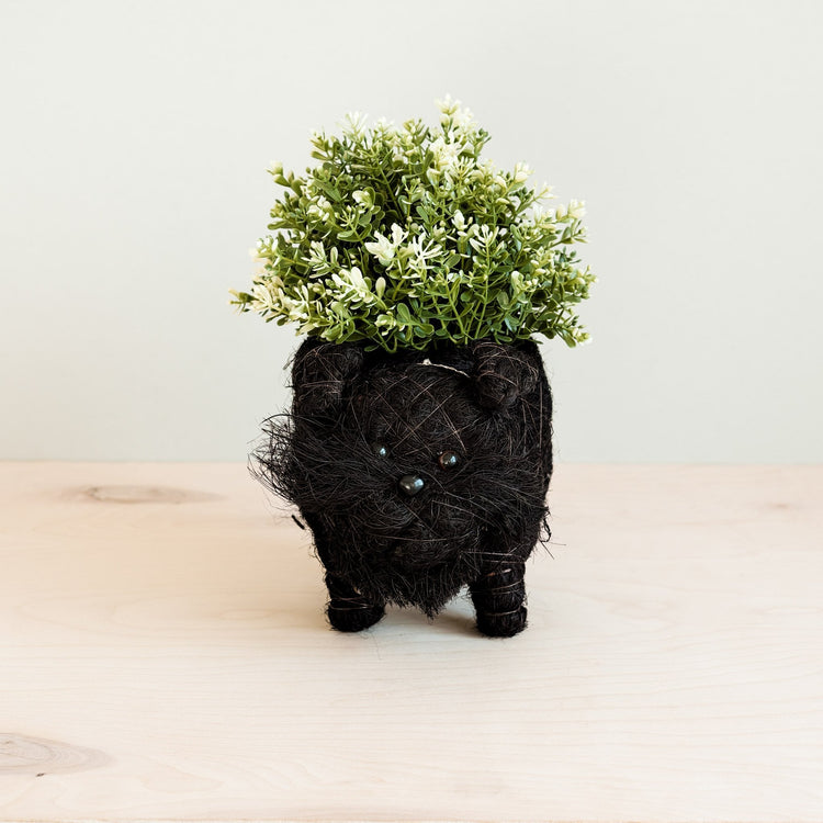 Schnauzer Planter - Coco Coir Pots