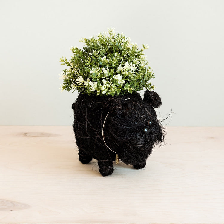 Schnauzer Planter - Coco Coir Pots