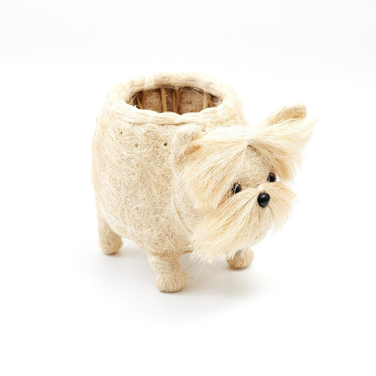 Westie Planter - Coco Coir Pots