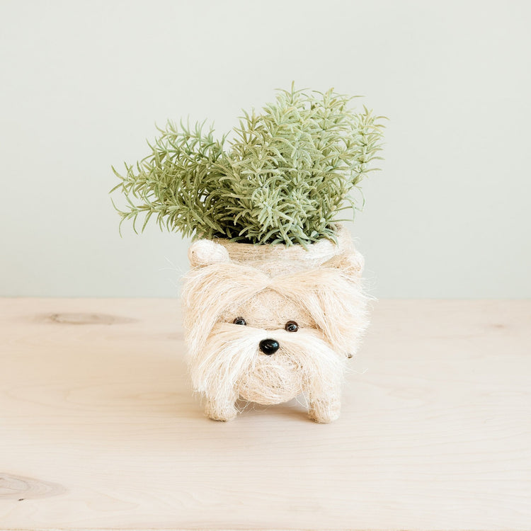 Westie Planter - Coco Coir Pots