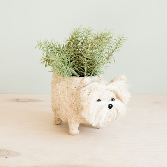 Westie Planter - Coco Coir Pots